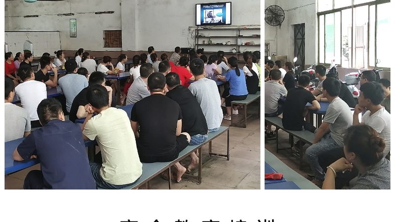 需求差异：短期班与长期班的适用场景